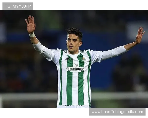 里昂欧战近期表现稳健，竞争力持续提升